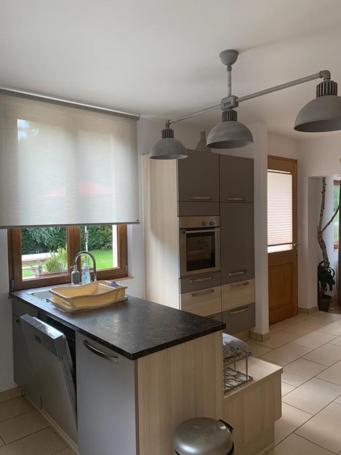 Les Hirondelles Apartment Винценайм Екстериор снимка