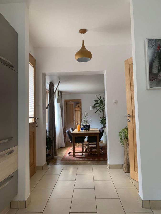 Les Hirondelles Apartment Винценайм Екстериор снимка