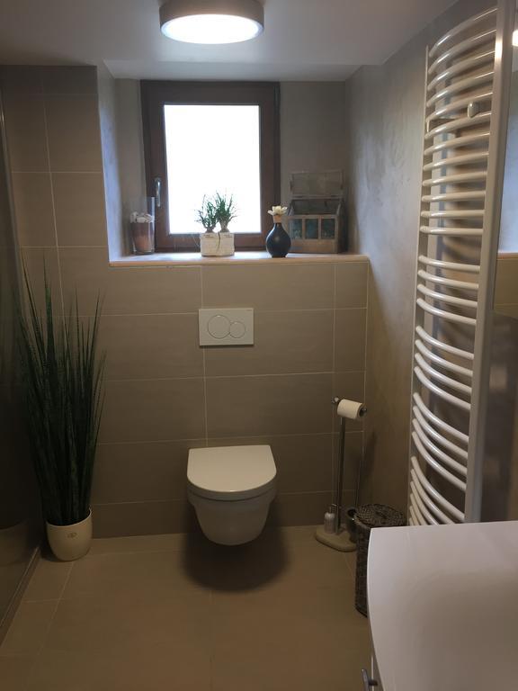 Les Hirondelles Apartment Винценайм Екстериор снимка